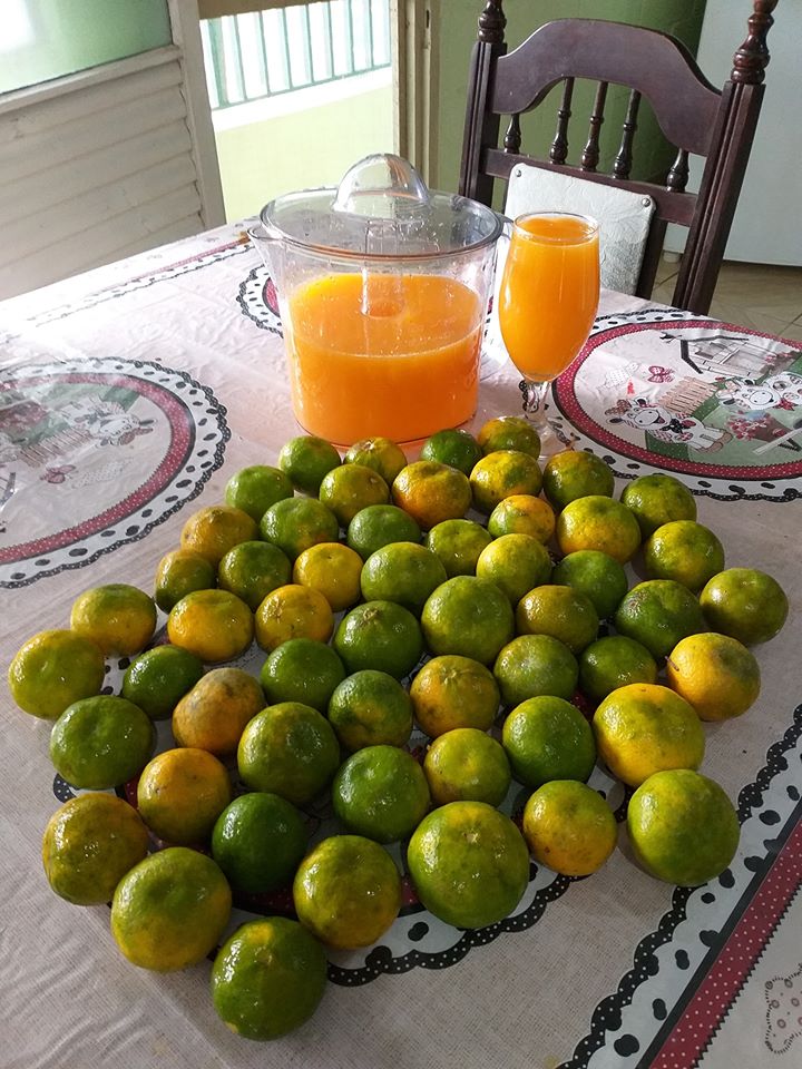 Suco de tangerina simples de fazer 